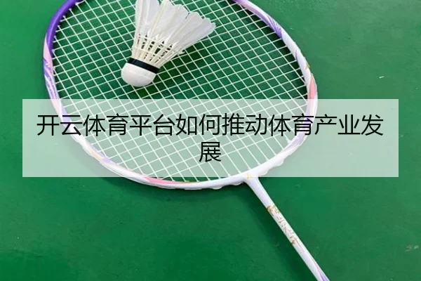 开云体育平台如何推动体育产业发展